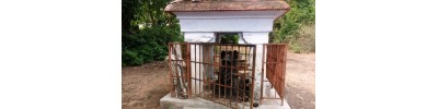 159. திருநாலூர் மயானம்